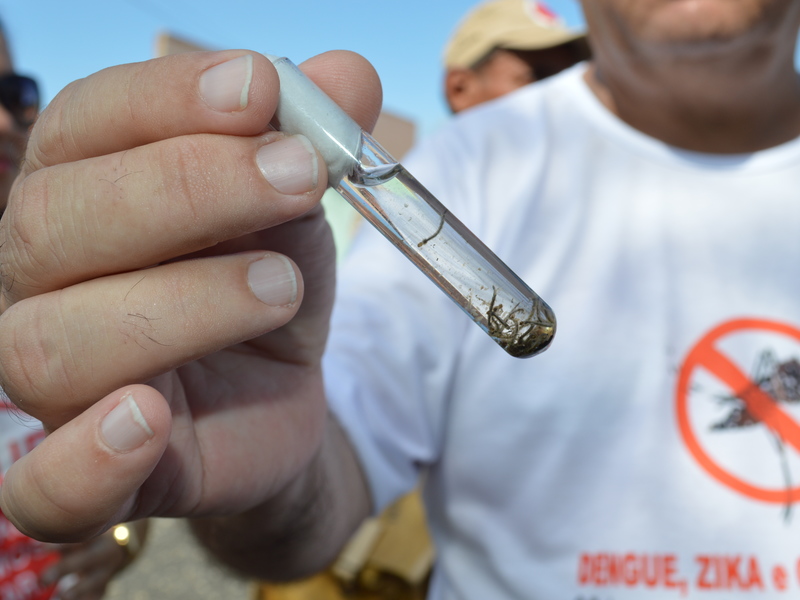 Quase 50 bairros de Teresina já foram “faxinados” contra o Aedes aegypti