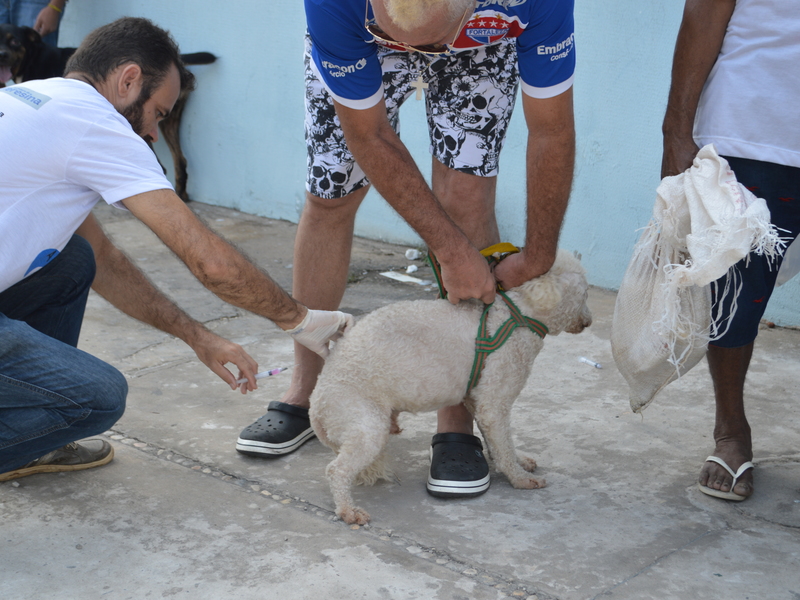 População das zonas Sul e Sudeste vacina cães e gatos contra a raiva 