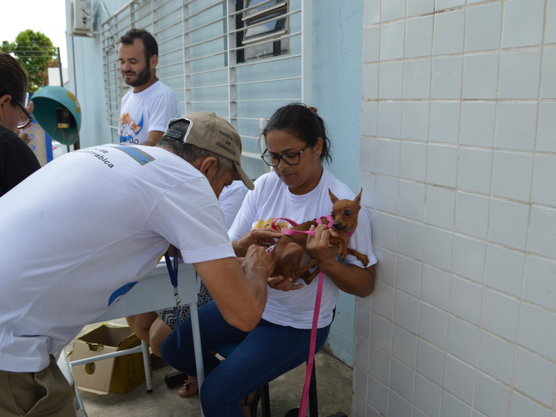 População das zonas Sul e Sudeste vacina cães e gatos contra a raiva 