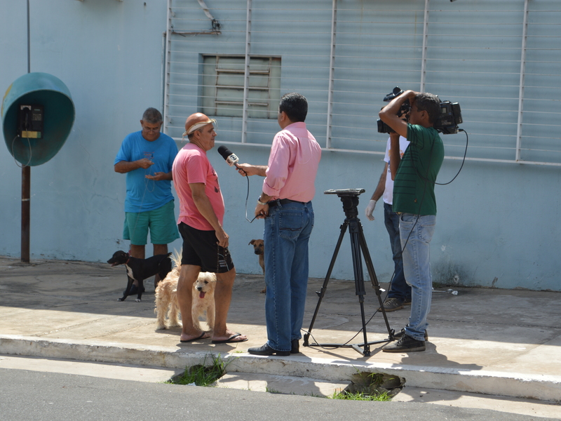 População das zonas Sul e Sudeste vacina cães e gatos contra a raiva 