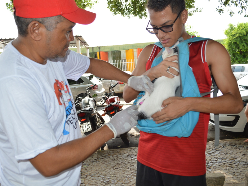 A meta estabelecida pelo Ministério da Saúde é de que 80% do número total de animais deve ser imunizada.