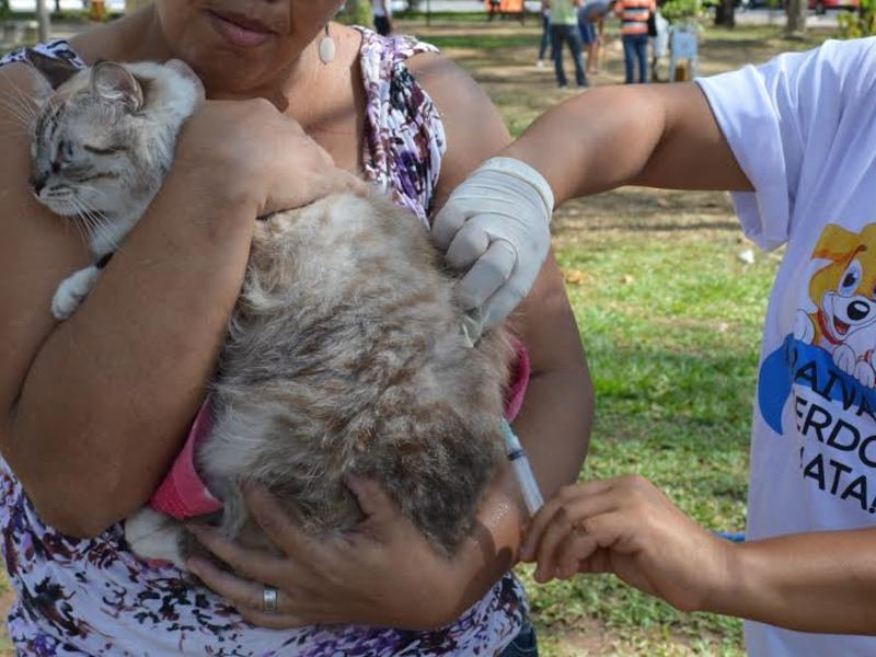 Campanha de Vacinação contra a Raiva encerra com mais de 100% da cobertura Campanha de Vacinação contra a Raiva encerra com mais de 100% da cobertura