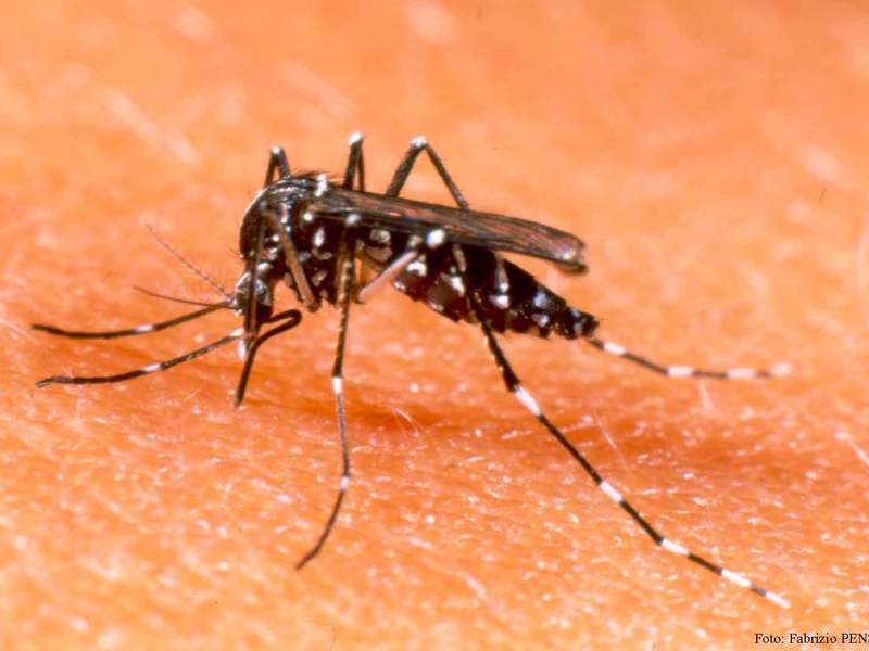 Agentes de endemias orientam alunos sobre combate ao Aedes aegypti