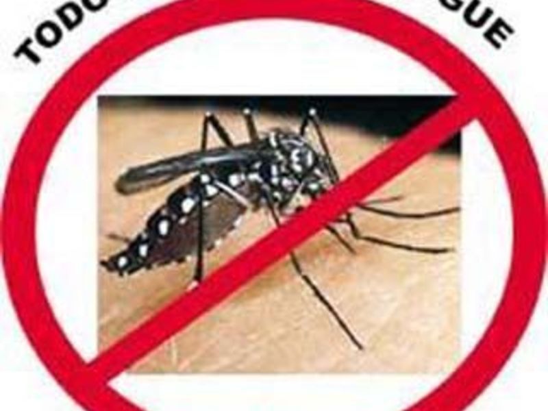 FMS realiza levantamento sobre o Aedes aegypti em toda Teresina