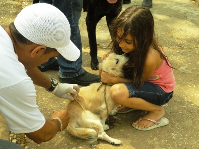 Zona urbana de Teresina atinge meta de vacinação antirrábica