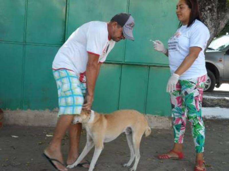 Vacina contra a raiva na zona rural começa sábado (05) Vacina contra a raiva na zona rural começa sábado (05)