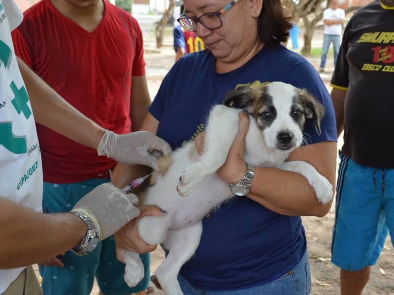 Vacinação contra a Raiva chega às zonas Rurais Norte e Leste neste sábado (07)