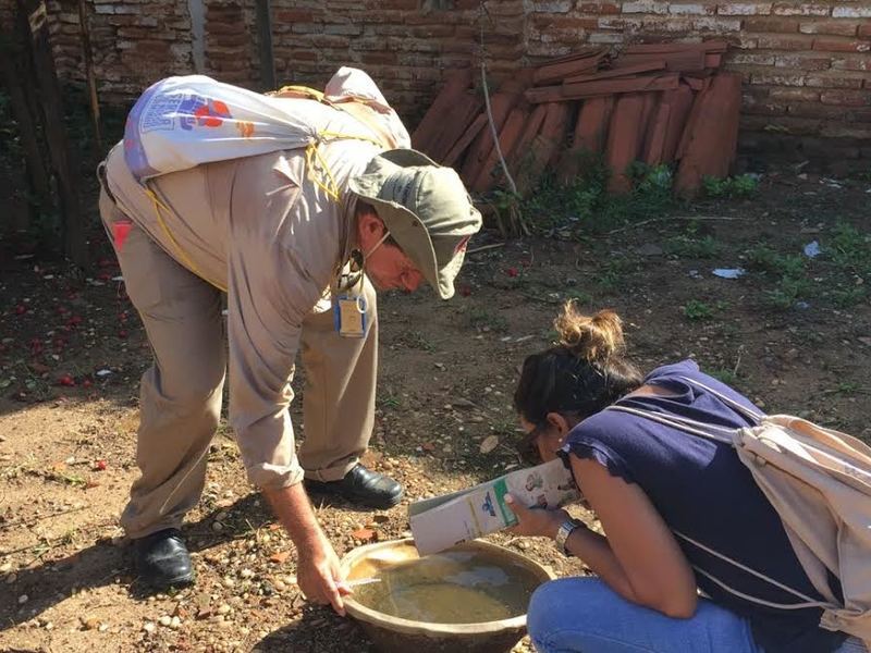 Zonas Leste e Sul recebem mutirão de limpeza para eliminação do Aedes