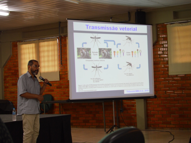 País vive quatro epidemias transmitidas por mosquitos, diz pesquisador da FIOCRUZ