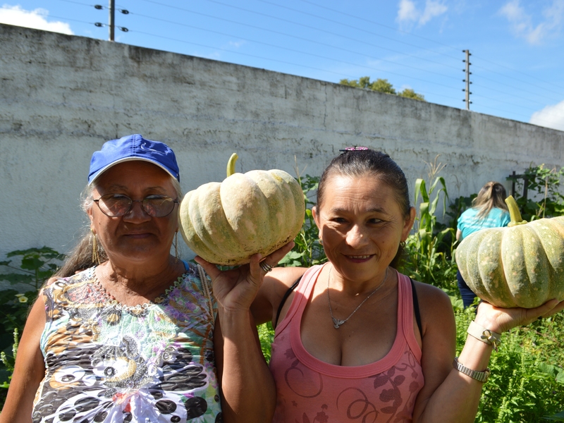 Horta comunitária é terapia para usuários do CAPS II Leste