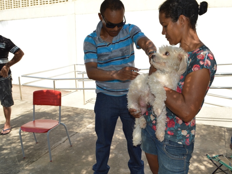 Quase 55 mil animais foram vacinados contra raiva em Teresina