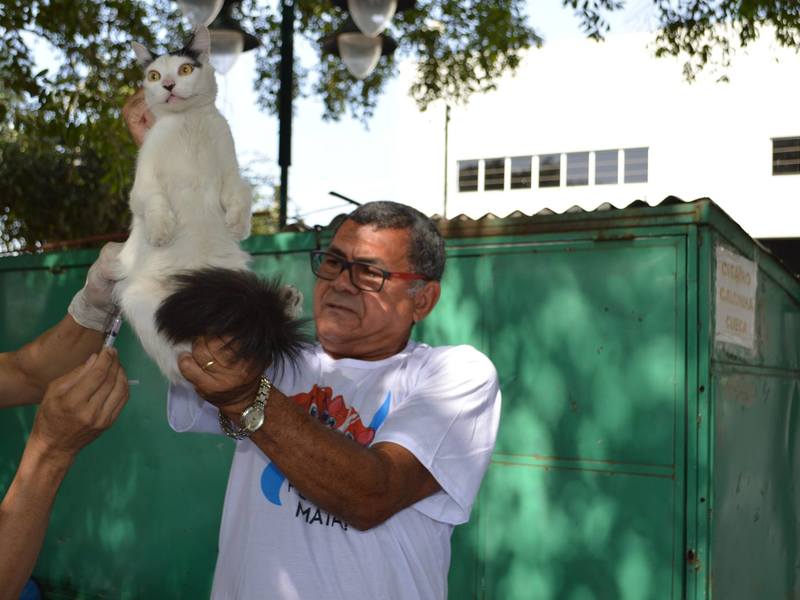 Teresina é a única cidade do Piauí a concluir campanha de vacinação contra a raiva