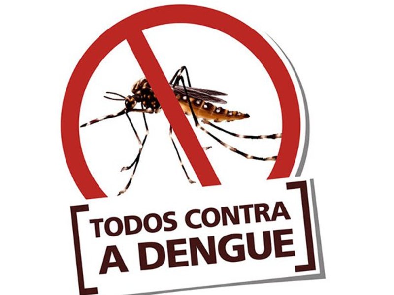 FMS pede atenção à formação de criadouros do Aedes nas escolas de Teresina