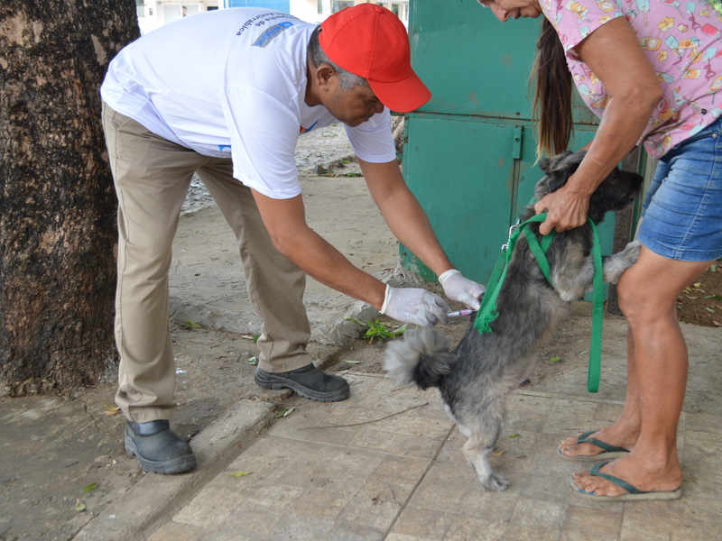 Teresina supera a meta de vacinação antirrábica nas duas etapas urbanas da campanha