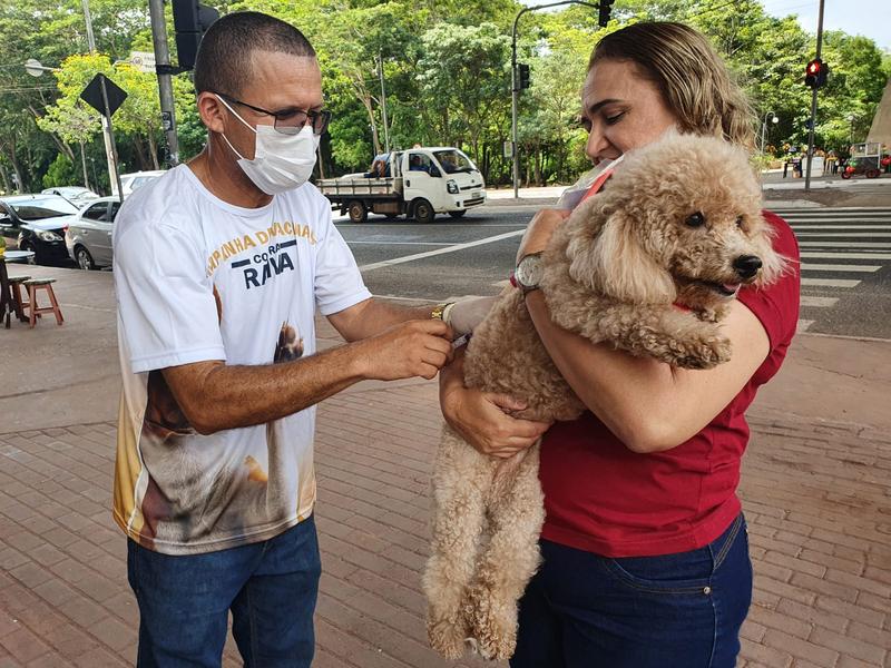 Vacinação contra a raiva acontece nas zonas rurais de Teresina