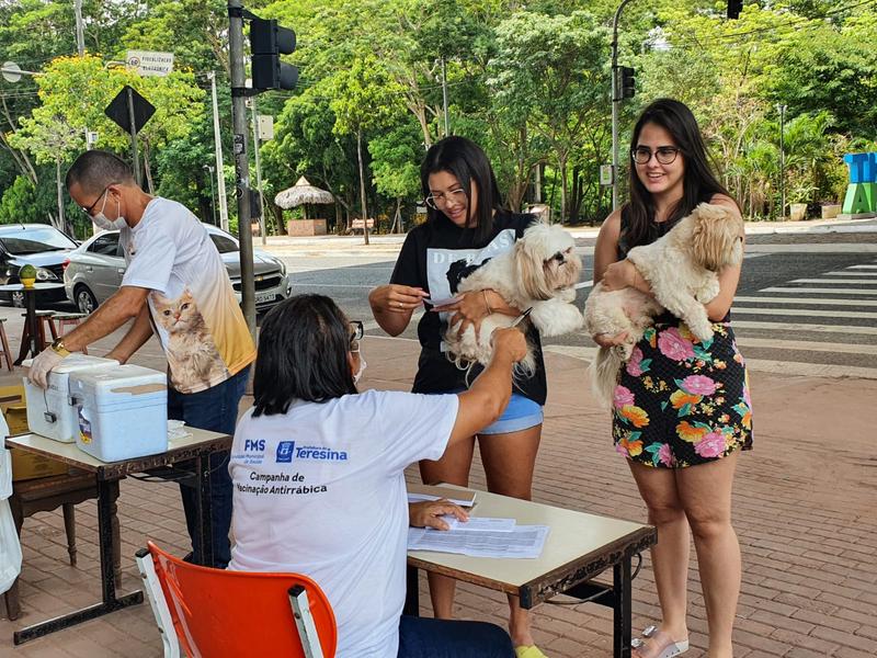 Vacinação contra a raiva acontece na zona Leste rural dia 30