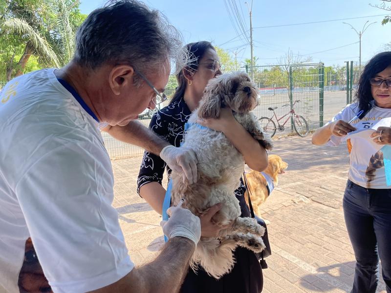 Vacinação contra a raiva acontece na zona rural Sudeste de Teresina